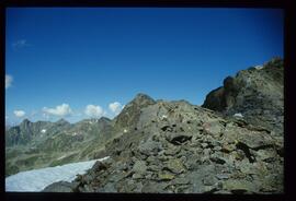 Landschaft im Sommer