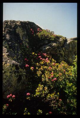 Landschaft, Wandern