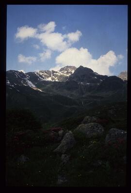 Landschaft im Sommer