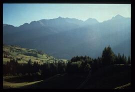 Landschaft im Sommer