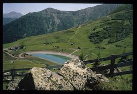 Landschaft im Sommer