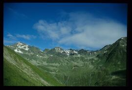 Landschaft im Sommer