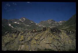 Landschaft im Sommer