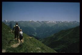 Landschaft im Sommer