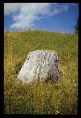 Landschaftsaufnahme