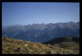 Landschaft im Sommer