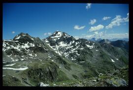 Landschaft im Sommer