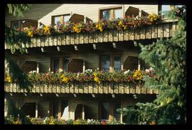 Hotels