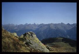 Landschaft im Sommer