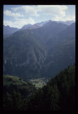 Landschaft im Sommer