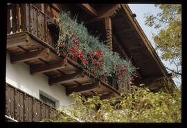 Blumenbalkone