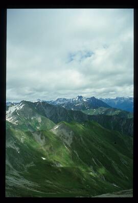 Landschaft im Sommer