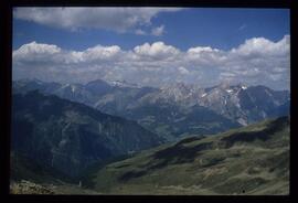 Landschaft im Sommer
