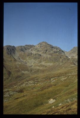 Landschaft im Sommer