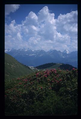 Landschaft, Wandern