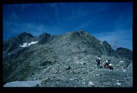 Landschaft im Sommer