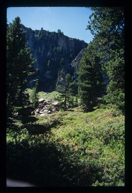 Landschaft, Wandern