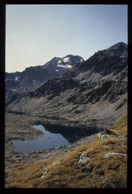 Landschaft im Sommer