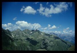 Landschaft im Sommer