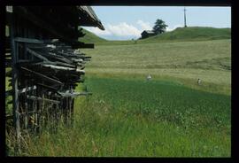Bäuerliche Welt