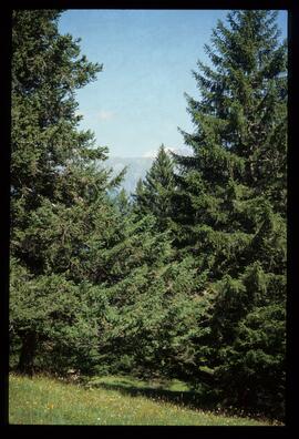 Landschaftsaufnahme