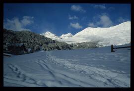 Landschaft im Winter