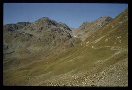 Landschaft im Sommer