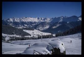 Landschaft im Winter