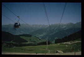 Landschaft im Sommer