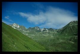 Landschaft im Sommer