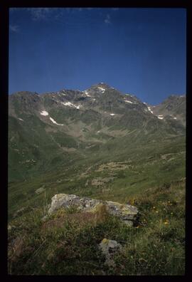 Landschaft im Sommer