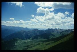 Landschaft im Sommer