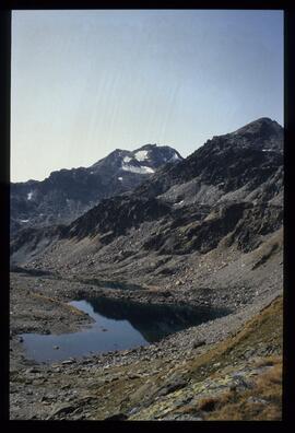 Landschaft im Sommer