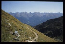 Landschaft im Sommer