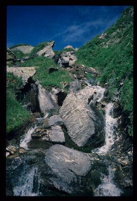 Landschaft im Sommer