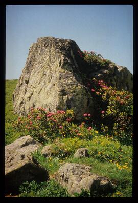 Landschaft, Wandern