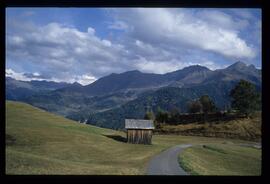 Landschaft im Sommer