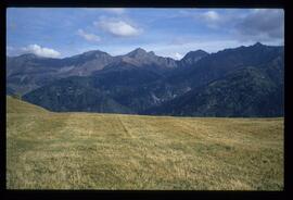 Landschaft im Sommer