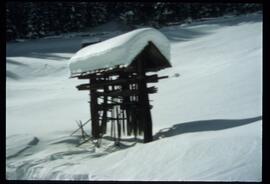 Schneebilder