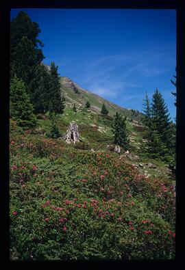 Landschaft, Wandern