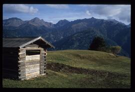 Landschaft im Sommer