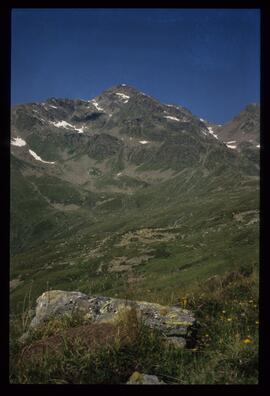 Landschaft im Sommer