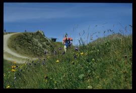 Gäste im Gebirge