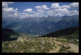 Landschaft im Sommer