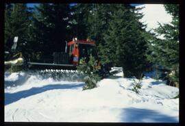 Pistenraupen, Schnekanonen