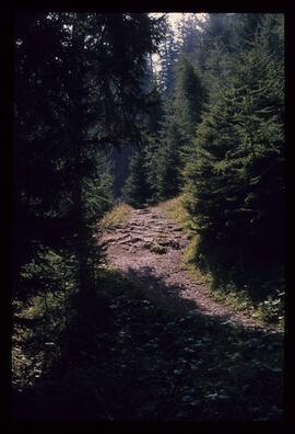 Landschaftsaufnahme