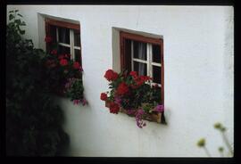 Blumenschmuck