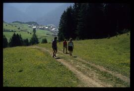 Gäste im Gebirge