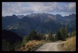 Landschaft im Sommer