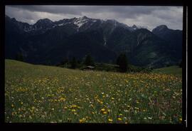 Landschaft, Wandern